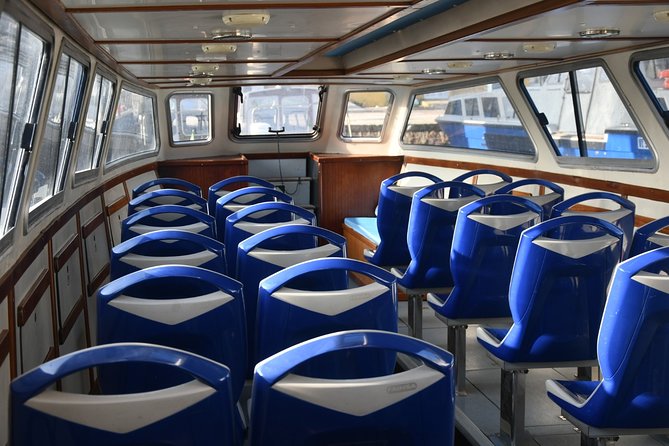 1-hour panoramic tour of Venice by boat - Step aboard: what “private transportation” means in practice