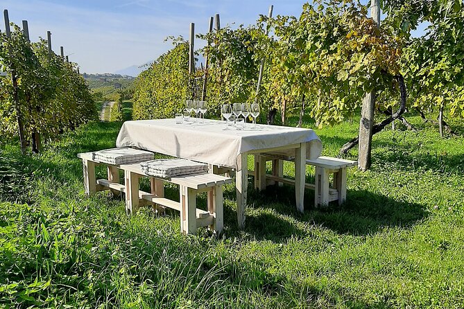 2 Guests Private Prosecco Road Tour All Inclusive from Venice - Conegliano: the Prosecco Road makes sense here