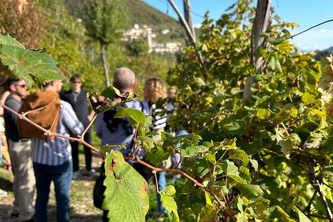 2 Guests Private Prosecco Road Tour All Inclusive from Venice - San Pietro di Feletto: photos, rolling hills turning steep