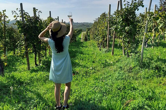 2 Guests Private Prosecco Road Tour All Inclusive from Venice - Conegliano winery cellar + cicchetti tastings