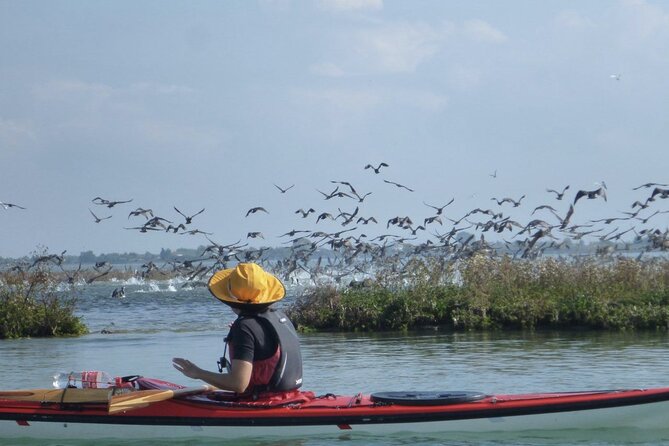 2 Hour Night Kayak Tour in Venice, premium experience with sunset - Getting Started at Calle Tornielli 2370, Without the Dock Drama