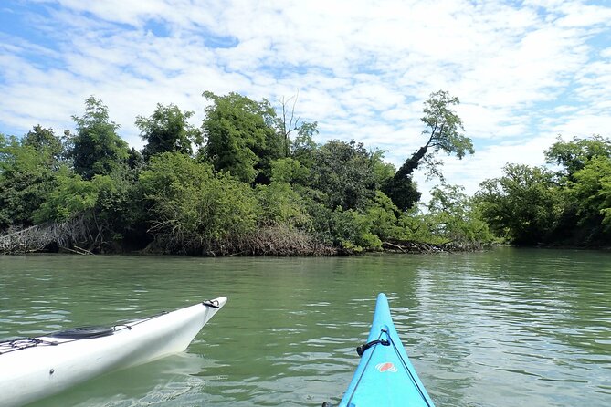 2 Hour Night Kayak Tour in Venice, premium experience with sunset - Who This Tour Fits Best (And Who Might Skip It)