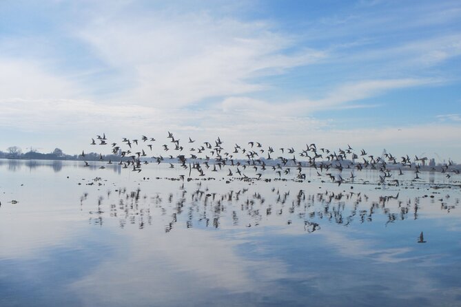2 Hour Night Kayak Tour in Venice, premium experience with sunset - The First Glide: Canals at a Slow, Human Pace