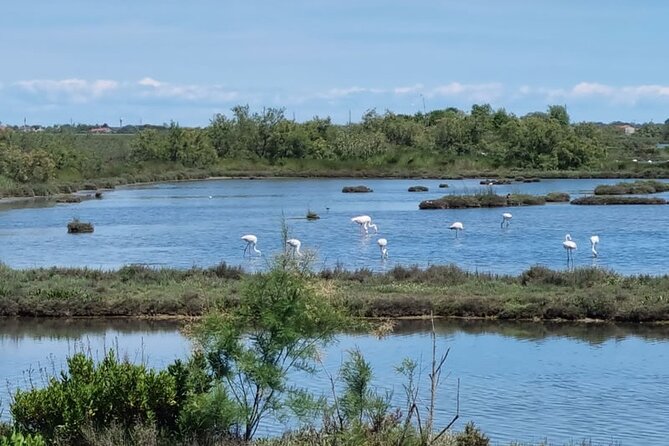 4-hour private tour in the Northern Lagoon with traditional boat - A private North Lagoon boat trip that actually feels like Venice