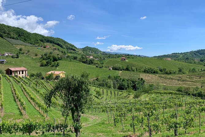 A Sparkling Day in the Prosecco Hills from Venice - Pieve di Soligo lunch at a family osteria, built around spiedo