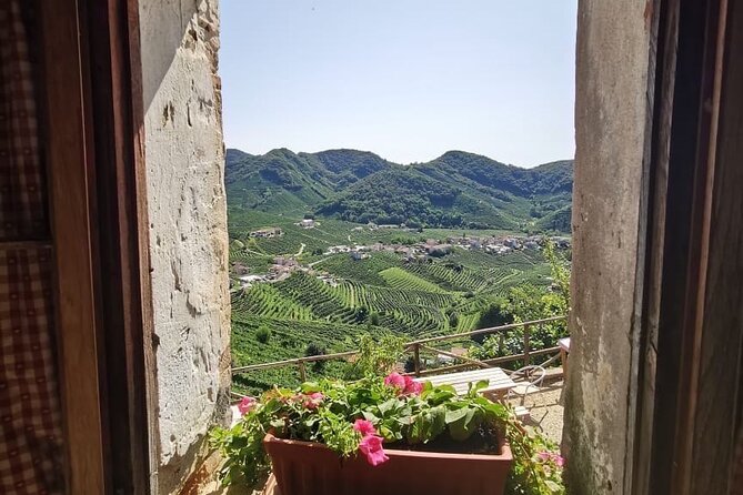 Adventure in the Prosecco Hills by Yellowboot - Conegliano Welcome and a Pace That Feels Personal