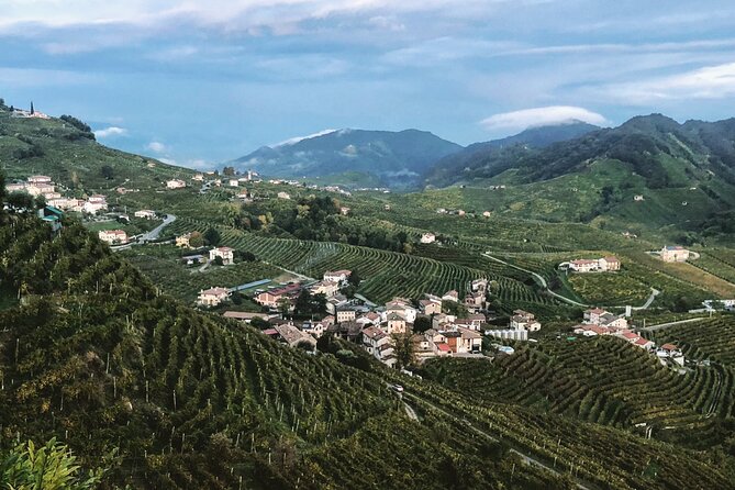 Adventure in the Prosecco Hills by Yellowboot - Who This Tour Fits Best (and Who Might Skip It)