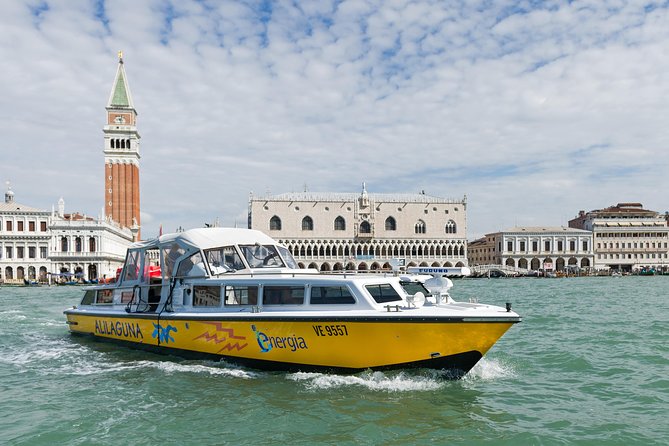 Airport - Venice Waterbus Ticket - Key things to know before you board