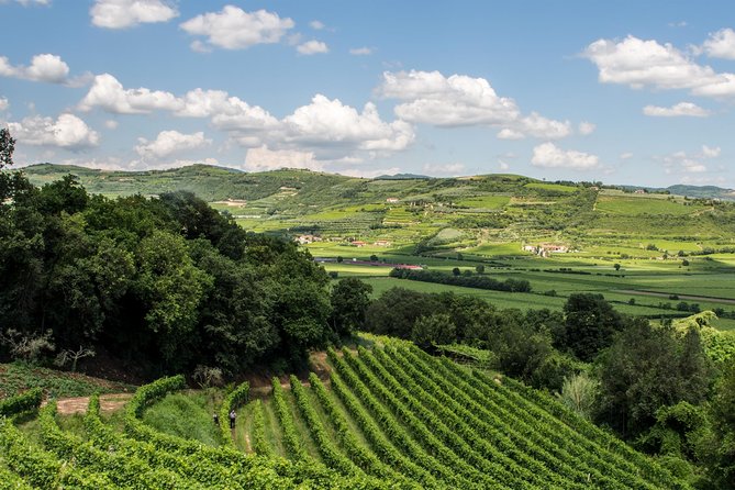 Amarone & Soave Wine Tour with Sommelier – Visit Verona - Price and value: is $280 reasonable for what you get?
