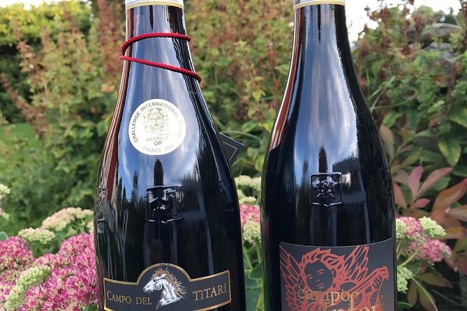Amarone-Valpolicella tour. Visit Verona. From Venice - From Piazzale Roma to Verona, Without the Headache