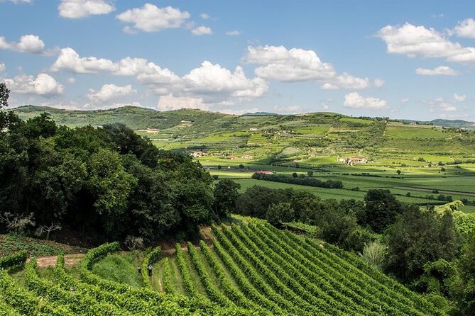 Amarone-Valpolicella tour. Visit Verona. From Venice - The Ride Through Northern Italy: Learn the Region While You Travel