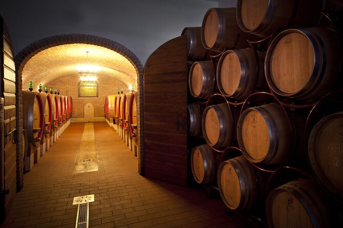Amarone-Valpolicella tour. Visit Verona. From Venice - The Tasting Menu: Classico, Ripasso, Amarone, and Recioto