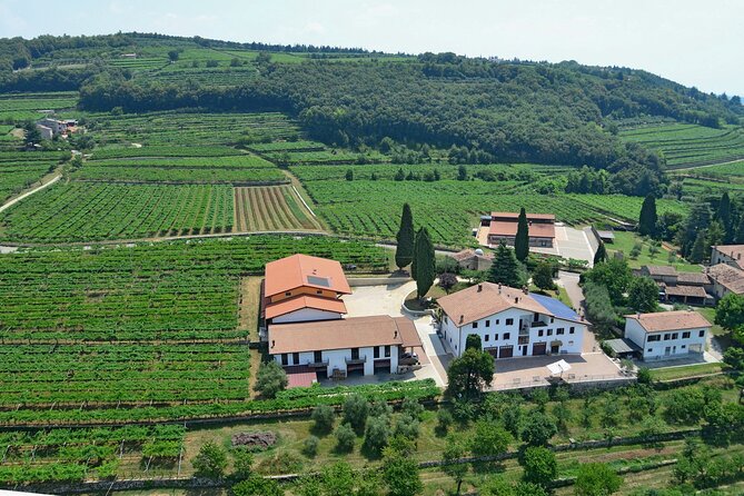 Amarone-Valpolicella tour. Visit Verona. From Venice - Light Lunch and Pairing: Cheese and Salami Included