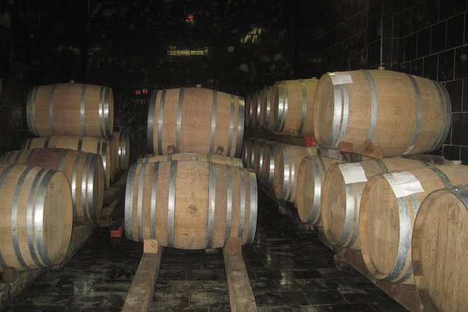 Amarone Wine Tour (all-inclusive full day with lunch and expert wine guide) - Timing, comfort, and the logistics that make or break a day