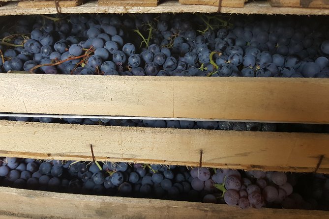 Amarone Wine Tour (all-inclusive full day with lunch and expert wine guide) - Between wineries: lunch at Trattoria Alla Porchetta