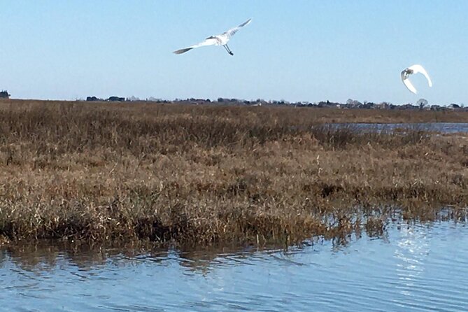 Burano Kayak Eco-Tour Through the Venetian Lagoon - Why kayak the lagoon north of Venice?