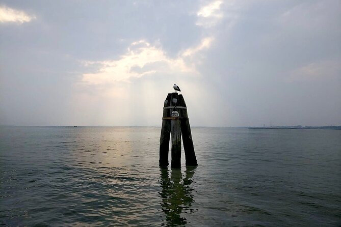 Burano Kayak Eco-Tour Through the Venetian Lagoon - Salt marshes, wildlife, and the lagoon’s living details
