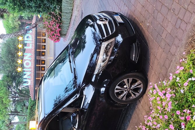 Cruise port Trieste or Ravenna from Venice-Mestre area - Private Minivan Transfer from Venice-Mestre to Ravenna or Trieste