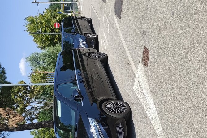 Cruise port Trieste or Ravenna from Venice-Mestre area - Drop-Off at the Cruise Port: Why Direct Beats Public Transport