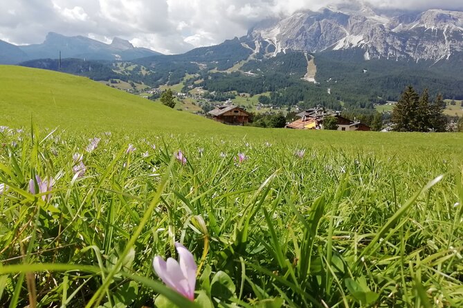 Discover the Dolomites, Cortina and Lake Braies from Venice - Price and value: $223.82 for transport, guide time, and big sights