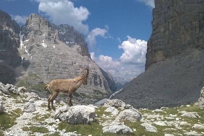 Dolomites Hiking tour - The 5-hour hike in Ente Parco Nazionale Delle Dolomiti Bellunesi