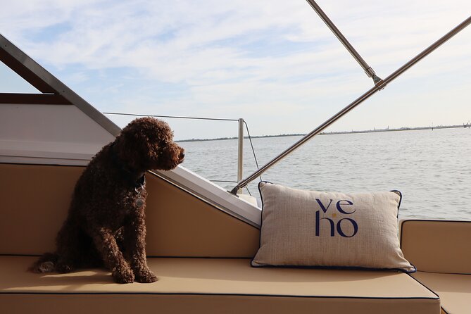Enjoy the lagoon - 3-hour private tour - What’s included on board, and what it means for your day