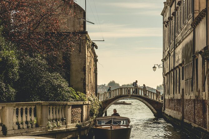 Explore Venice, Dorsoduro, San Marco Sq, Rialto Bridge Tours - Dorsoduro: art, artichokes, and a more local student-district feel