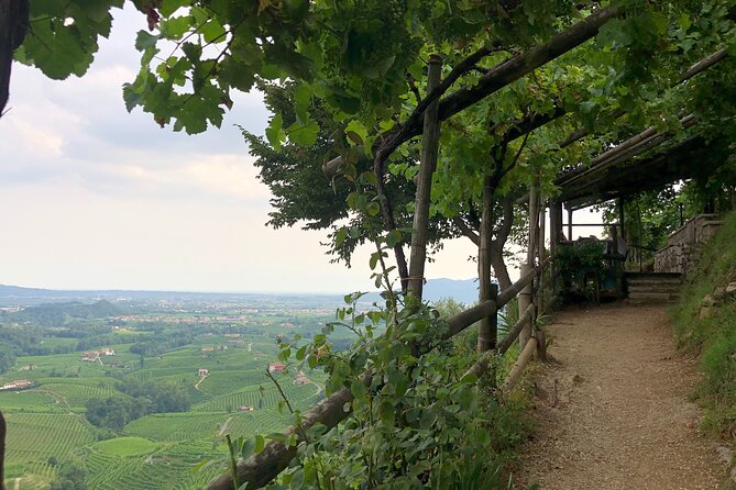 Food and Wine Tour on the Prosecco Hills from Venice - Valdobbiadene: top-of-the-hills views that make the DOCG story feel real