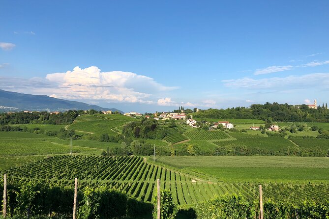 Food and Wine Tour on the Prosecco Hills from Venice - The tastings and meal flow: how the day keeps flavors connected