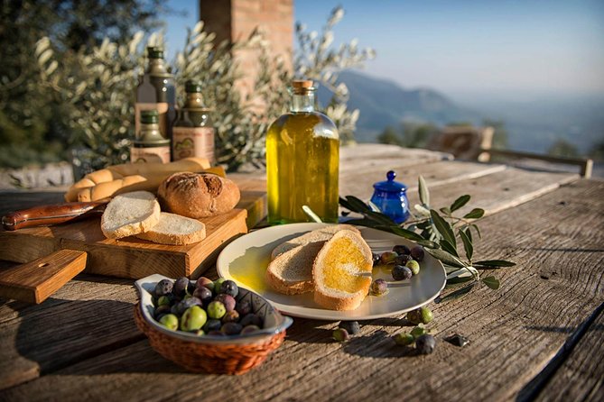 From Venice: Olive Oil & Wine Tour in the Venetian Hills - Key things to know before you go