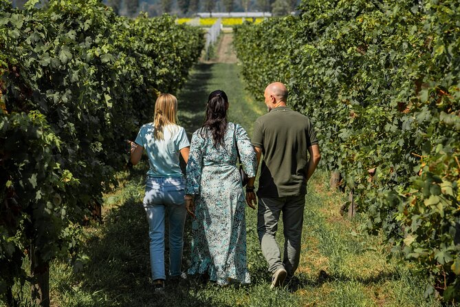 From Venice: Olive Oil & Wine Tour in the Venetian Hills - First stop in the Euganean Spas area: Abano-Montegrotto’s famous setting