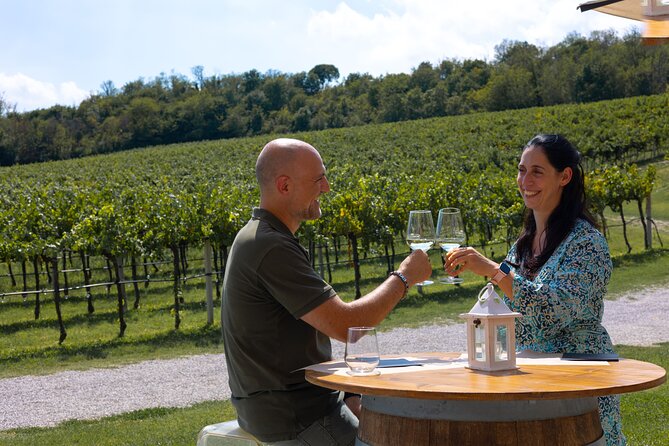From Venice: Olive Oil & Wine Tour in the Venetian Hills - Why this loop feels like countryside, not a bus tour