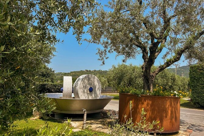 From Venice: Olive Oil & Wine Tour in the Venetian Hills - The meeting point plan, and how you actually get there