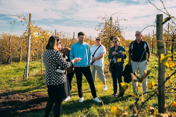 From Venice: Prosecco Wine Region Tour with 2 Tastings - Two wine tastings for $204.46, and why the value can be real