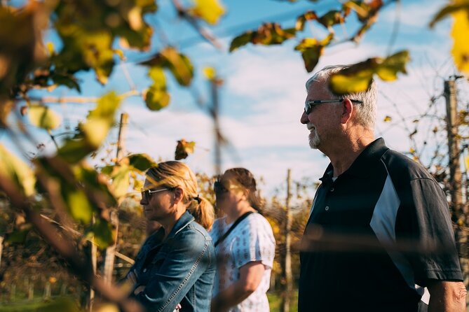 From Venice: Prosecco Wine Region Tour with 2 Tastings - The bottom line: should you book this Prosecco tour from Venice?