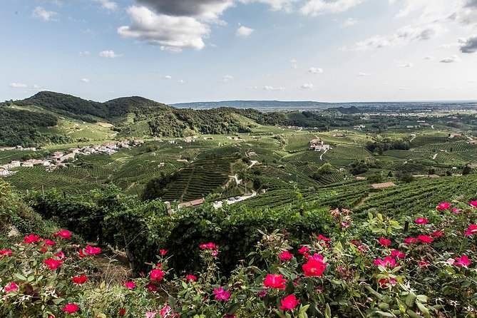 Full day Private Prosecco Tour, with certified Sommelier - Lunch choices: not included, but handled the smart way