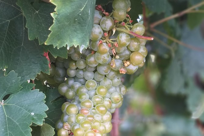 Full day Private Prosecco Tour, with certified Sommelier - Timing and how to plan your day around 8 hours