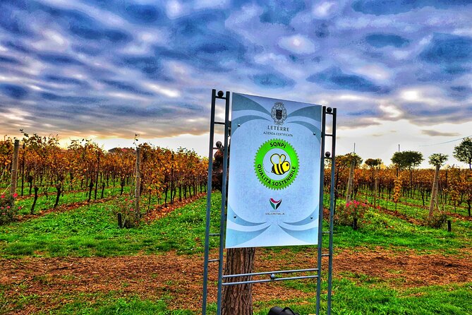 Full day Private Prosecco Tour, with certified Sommelier - The honesty shop with the vending Prosecco machine stop