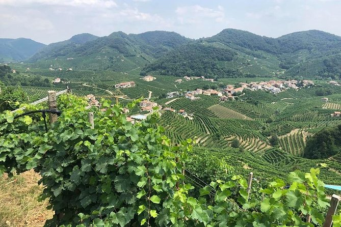 Full Day Prosecco and Cheese Tasting from Venice - Key Highlights You’ll Care About