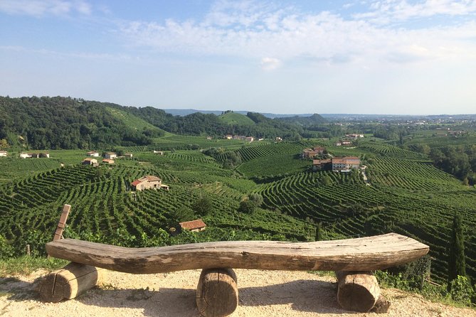 Full Day Wine Tour and Tasting in the Prosecco Region - Getting out of Venice: transfers that keep the day smooth