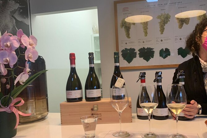 Full Day Wine Tour and Tasting in the Prosecco Region - What the Prosecco tasting teaches you (beyond the bubbles)