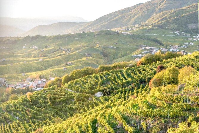 Full Day Wine Tour and Tasting in the Prosecco Region - Timing, pacing, and group comfort on a long day