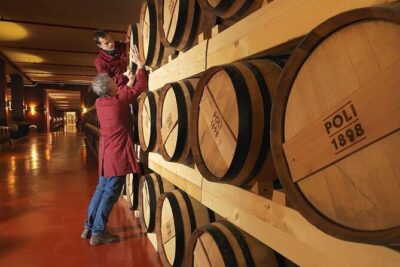 Grappa Tasting in Venice City Center