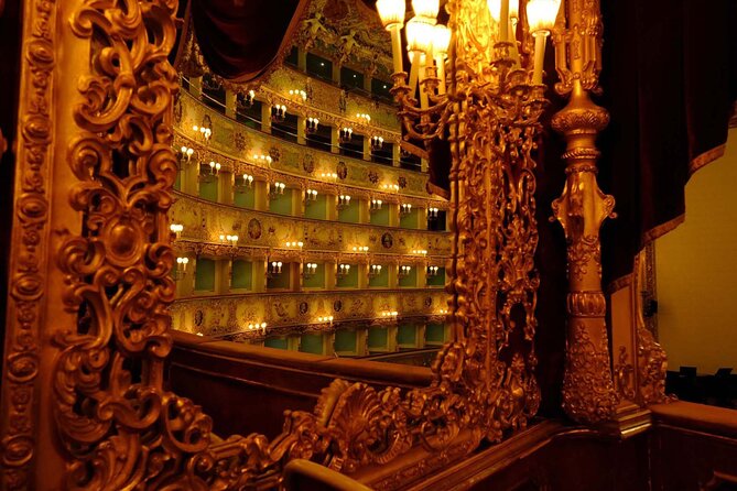 Guided Tour in La Fenice Theater - Group size, shared format, and how it affects your experience