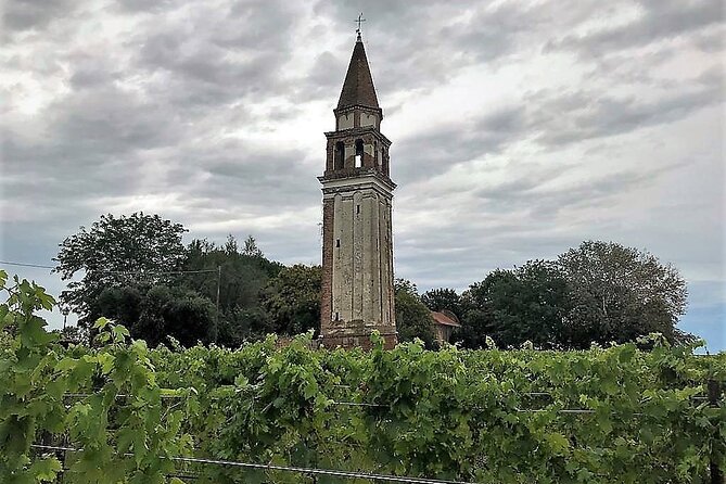 Island Hopping Tour: Mazzorbo, Burano and Murano - Meeting point and how the tour actually moves