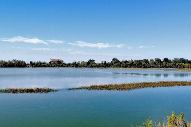 Lio Piccolo: Flamingos & Birdwatching Bike Tour in the Lagoon - From Fondamente Nove to Treporti, a Lagoon Start That Feels Like a Reset