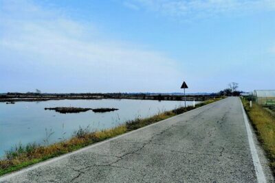 Lio Piccolo: Flamingos & Birdwatching Bike Tour in the Lagoon