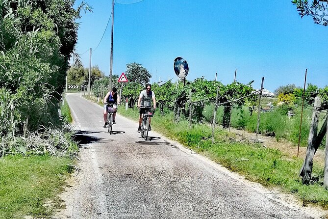 Lio Piccolo: Flamingos & Birdwatching Bike Tour in the Lagoon - Via delle Mesole: Cycling Through Mudflats, Canals, and Fishing Valleys