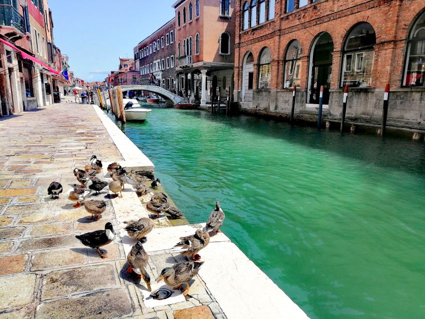 Murano: Glass Lampwork Workshop and Walking Tour - Who will enjoy this most, and who should choose something else