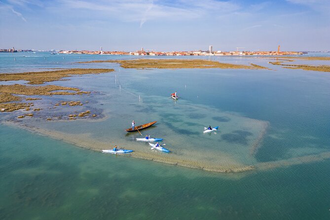 Nature Kayak Tour: Exploring Europe’s Largest Lagoon - Wildlife stories you can actually picture